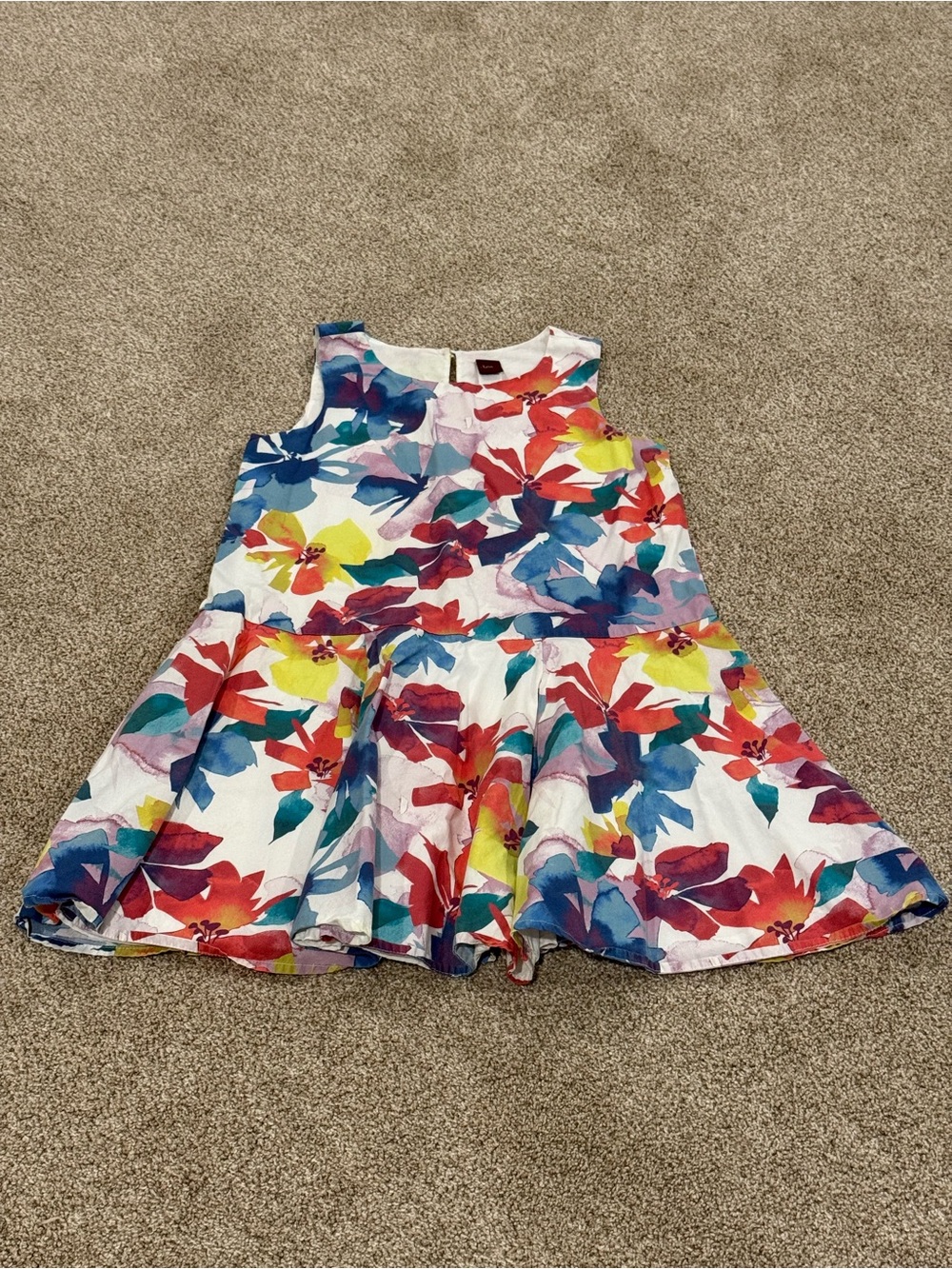 Girls Floral Sleeveless Drop-Waist Dress by Tea Collection